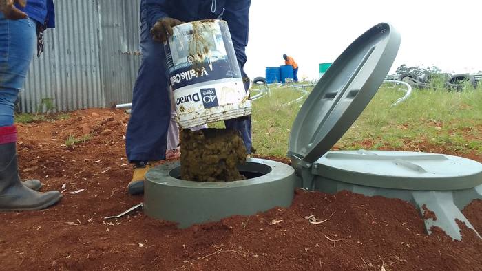 Installing a biogas digester fed with cow dung