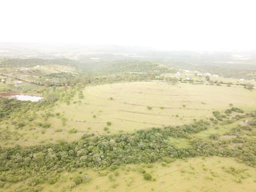 Aerial view of land, vegetation and fencing