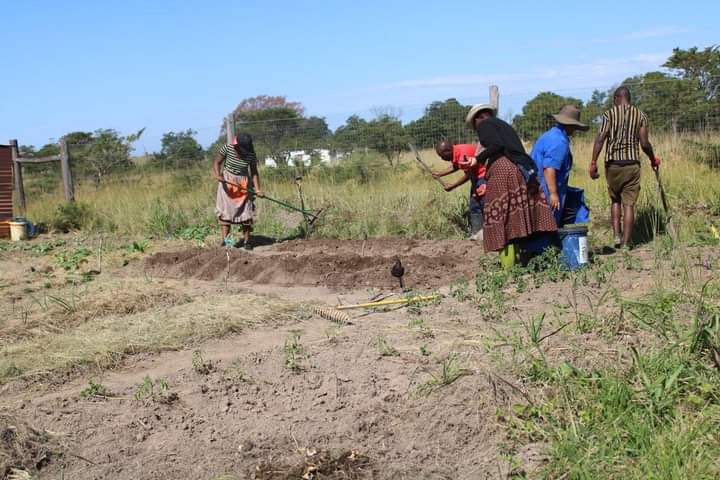 Community members working together on a practical project