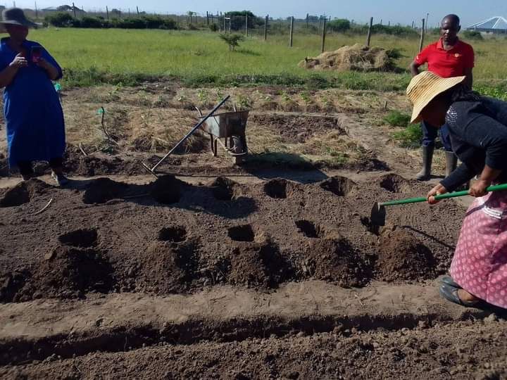 Preparing garden beds for regenerative agriculture