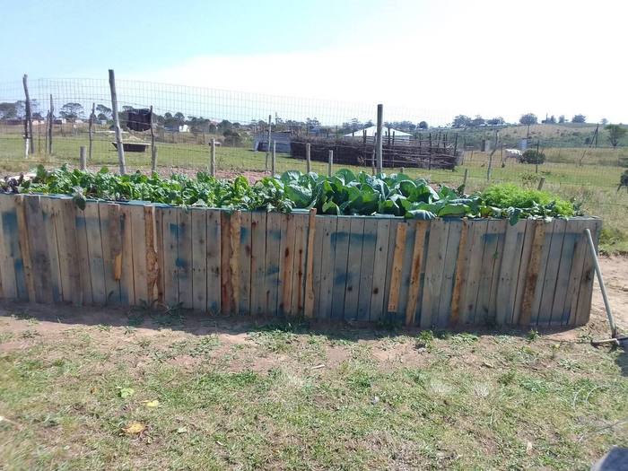 Raised food garden bed for elderly and disabled community members